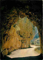 48 - Les Gorges Du Tarn - Tunnel Le Long Du Tarn - CPM - Voir Scans Recto-Verso - Gorges Du Tarn