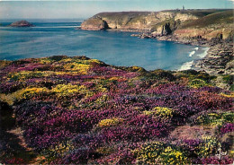 22 - Le Cap Fréhel - Réserve Biologique - Lande Et Bruyère - Au Fond Le Cap Fréhel Et Le Phare - CPM - Voir Scans Recto- - Cap Frehel