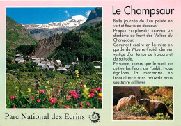 05 - Hautes Alpes - Parc National Des Ecrins - Le Champsaur - Marmottes - CPM - Voir Scans Recto-Verso - Andere & Zonder Classificatie