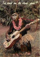 Animaux - Singes - Chimpanzé - Animaux Humanisés - Guitare - Musique - Carte à Message - CPM - Voir Scans Recto-Verso - Monkeys