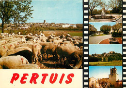 Animaux - Moutons - Pertuis - Multivues - CPM - Carte Neuve - Voir Scans Recto-Verso - Other & Unclassified