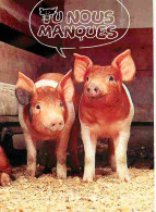 Animaux - Cochons - CPM - Voir Scans Recto-Verso - Schweine