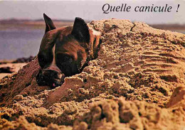 Animaux - Chiens - CPM - Voir Scans Recto-Verso - Dogs