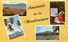 Martinique - Multivues - CPM 14 X 9 Cms - Voir Scans Recto-Verso - Autres & Non Classés