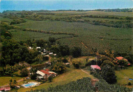 Martinique - Basse Pointe - Plantations De Leyritz - Hôtel - Restaurant - Vue Aérienne - CPM - Voir Scans Recto-Verso - Sonstige & Ohne Zuordnung