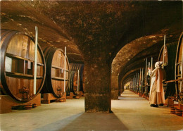 38 - Saint Pierre De Chartreuse - Monastère De La Grande Chartreuse - Les Caves De Vieillissement De La Liqueur - Moine  - Chartreuse