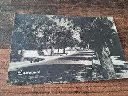 Postcard - Turkiye, Lattaqule, Latakia     (33101) - Türkei