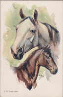 J.N. Loga Kopfstudie Cheval Horse Pferde Paard Caballo Cavallo CHEVAUX Old Cpa. - Pferde