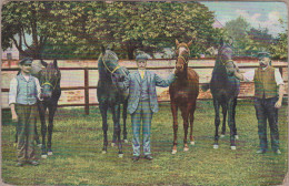 Gruppe Cheval Horse Pferde Paard Caballo Cavallo CHEVAUX Old Cpa. Ca. 1900 - Pferde