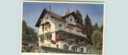 Suisse - Swiss - Schweiz - Vaud - Caux Sur Montreux - Hôtel Les Sorbiers - Bon état - Andere & Zonder Classificatie
