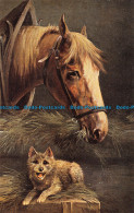 R167966 Horse And Dog. S. Hildesheimer. No. 5262 - Monde