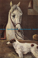 R167967 Horse And Dog. S. Hildesheimer - Monde