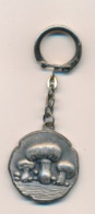 CHANCAY INDRE Et LOIR 37 Campignonnieres  A NAIL Et Fils Champignon - Key-rings