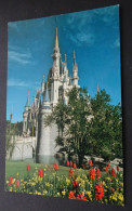 Walt Disney World - Cinderella Castle - Walt Disney Productions - Disneyworld