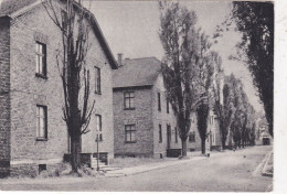 OSVIECIM  AUSCHWITZ - Ulica Obozowa - Pologne