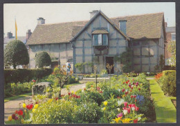 130675/ STRATFORD-UPON-AVON, Shakespeare's Birthplace From The Garden - Stratford Upon Avon