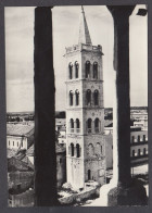 119994/ ZADAR, Cathedral Of St. Anastasia, Katedrala Sv. Stošije - Croatia
