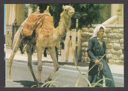 115642/ JERUSALEM, Old City Street Scene - Israël