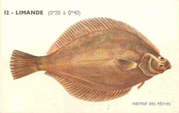 Animaux - Poissons - Institut Des Peches - Limande - CPA - Voir Scans Recto-Verso - Poissons Et Crustacés