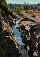 19 - Bort Les Orgues - Le Canon Du Saut De La Saule - CPM - Voir Scans Recto-Verso - Autres & Non Classés