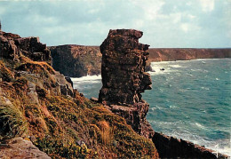 22 - Le Cap Fréhel - Etrange Rocher Sur La Côte Ouest Du Cap Fréhel - Flamme Postale De Erquy - CPM - Voir Scans Recto-V - Cap Frehel