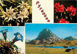 Animaux - Vaches - Pyrénées - Multivues - Le Pic Du Midi D'Ossau Et Fleurs Des Pyrénées - CPM - Voir Scans Recto-Verso - Kühe