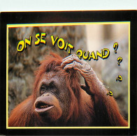 Animaux - Singes - Orang-Outan - Carte à Message - Carte Neuve - CPM - Voir Scans Recto-Verso - Monkeys
