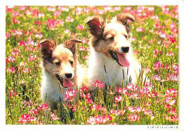 Animaux - Chiens - Colley - Chiots - Fleurs - CPM - Voir Scans Recto-Verso - Dogs