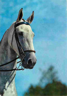 Animaux - Chevaux - Tete De Cheval - Portrait De Cheval - CPM - Voir Scans Recto-Verso - Horses