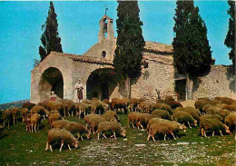 Animaux - Moutons - Eygalières - Chapelle St Sixte - CPM - Voir Scans Recto-Verso - Autres & Non Classés