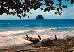 Martinique - Le Diamant - Pecheurs De Langouste - CPM - Voir Scans Recto-Verso - Other & Unclassified