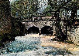 59 - Bousignies - Les Chutes De La Hante à Bousignies (Environs De Cousolre) - CPM - Voir Scans Recto-Verso - Other & Unclassified