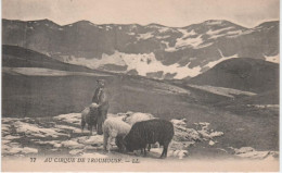 HTES PYRENEES-Au Cirque De Troumouse - LL 77 - Autres & Non Classés