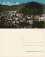 Karlsbad Karlovy Vary Blick Zum Schlossberg Unde Dem Hirschensprung 1913 - Czech Republic