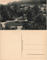 Ansichtskarte Bad Elster Rosengarten 1913 - Bad Elster