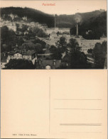 Postcard Marienbad Mariánské Lázně Totalansicht 1913 - Czech Republic