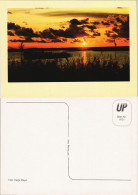 .Mecklenburg-Vorpommern Sonnenuntergang Am Meer (vermutlich Ostsee) 2000 - Sonstige & Ohne Zuordnung