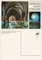 Stralsund Meeresglobus Im Foyer Katharinenhalle Meeresmuseum 1990 - Stralsund