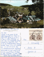 Ansichtskarte Todtnauberg Panorama-Ansicht Blick Auf Höfe 1965 - Autres & Non Classés