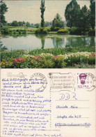Postcard Lublin Lublin Ogród Botaniczny Uniwersytetu 1985 - Poland