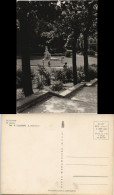 Postcard Allenstein Olsztyn W Parku - Parkanlage 1964 - Ostpreussen