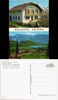 Kaltern An Der Weinstraße Caldaro Sulla Strada Del Vino MALGAHOF Südtirol 1980 - Other & Unclassified