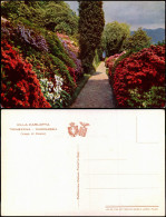Cartoline Como VILLA CARLOTTA TREMEZZINA CADENABBIA (Lago Di Como) 1915 - Autres & Non Classés