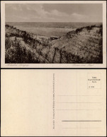 Ansichtskarte Langeoog Dünen Und Meer 1928 - Langeoog