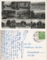 Hitzacker (Elbe) Mehrbild-AK Mit Hafen, Badestrand Elbe, Weinberg Uvm. 1955 - Hitzacker