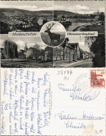 Ansichtskarte Bodenfelde Panorama-Ansichtenen U. Ortsmotive, Reh-Hirsch 1966 - Autres & Non Classés