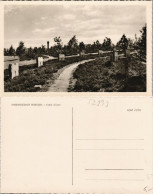 Ansichtskarte Hürtgen Partie Am Ehrenfriedhof, Ehren-Friedhof 1950 - Autres & Non Classés