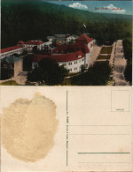 Ansichtskarte Bad Elster Albert Bad 1916 - Bad Elster