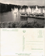 Postcard Gizycko Przystań Jachtów Na Jeziorze Mamry Yachthafen 1968 - Ostpreussen