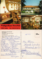 Hesseln-Halle (Westfalen) 3 Bild: Waldgasthaus Cafe Hesseltal 1969 - Halle I. Westf.